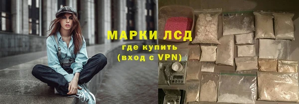 индика Алексеевка
