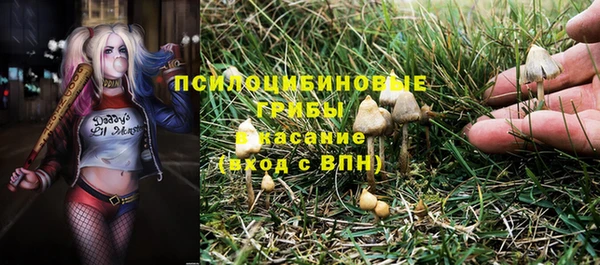 индика Алексеевка