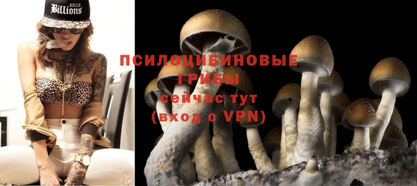 гидропоника Алзамай