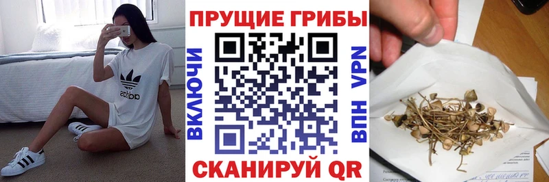 Галлюциногенные грибы GOLDEN TEACHER что такое Чехов
